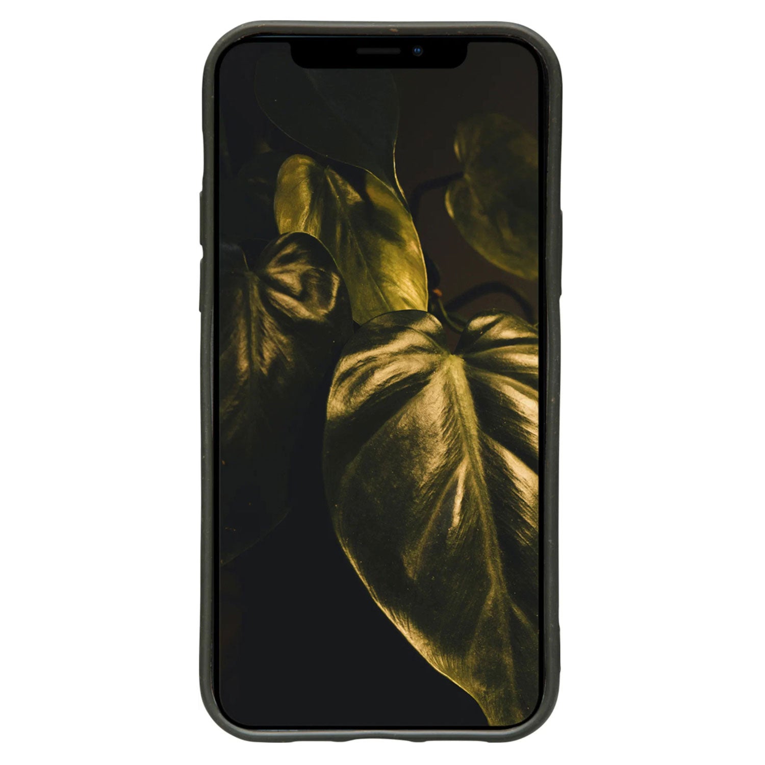 Dbramante1928 Grenen Case iPhone 12 Pro Max - Dark Olive Green